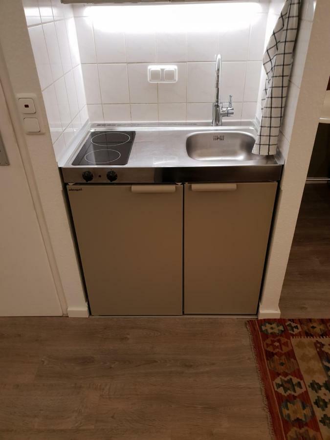 Studio Apartment In Zentraler Lage Майнц Екстер'єр фото